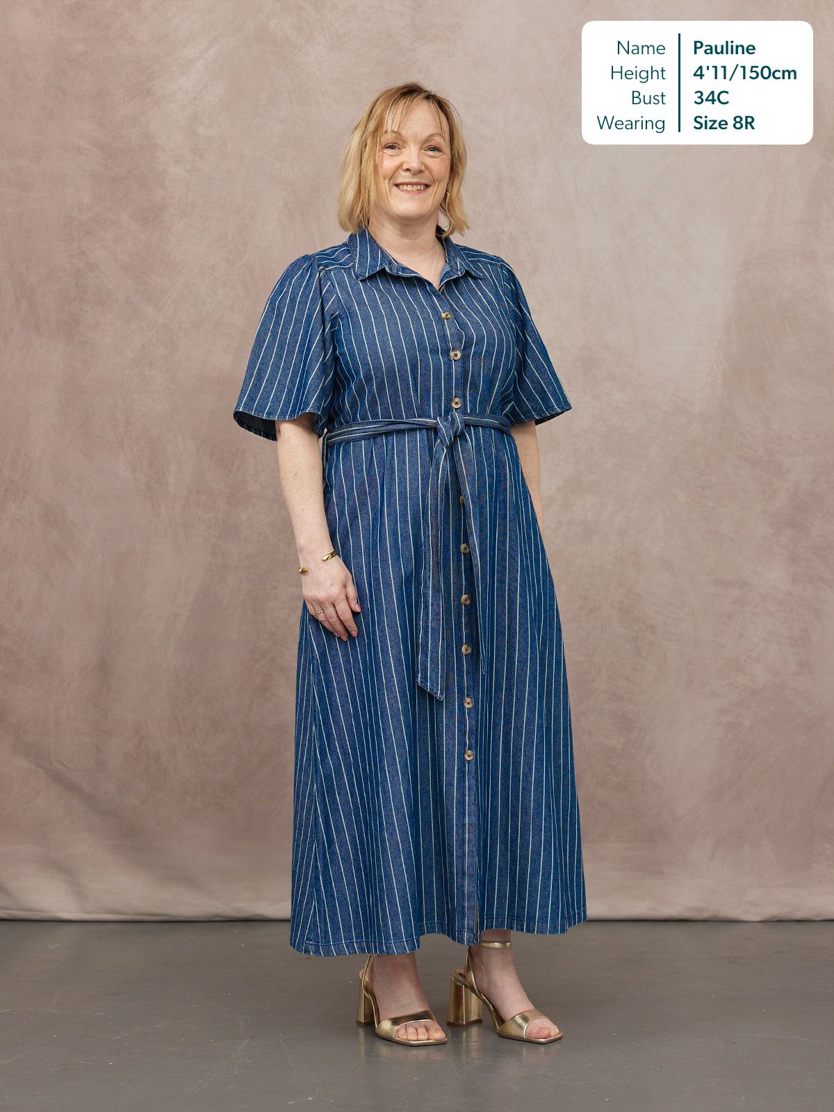 Mel Denim Shirt Dress - Denim Pinstripe