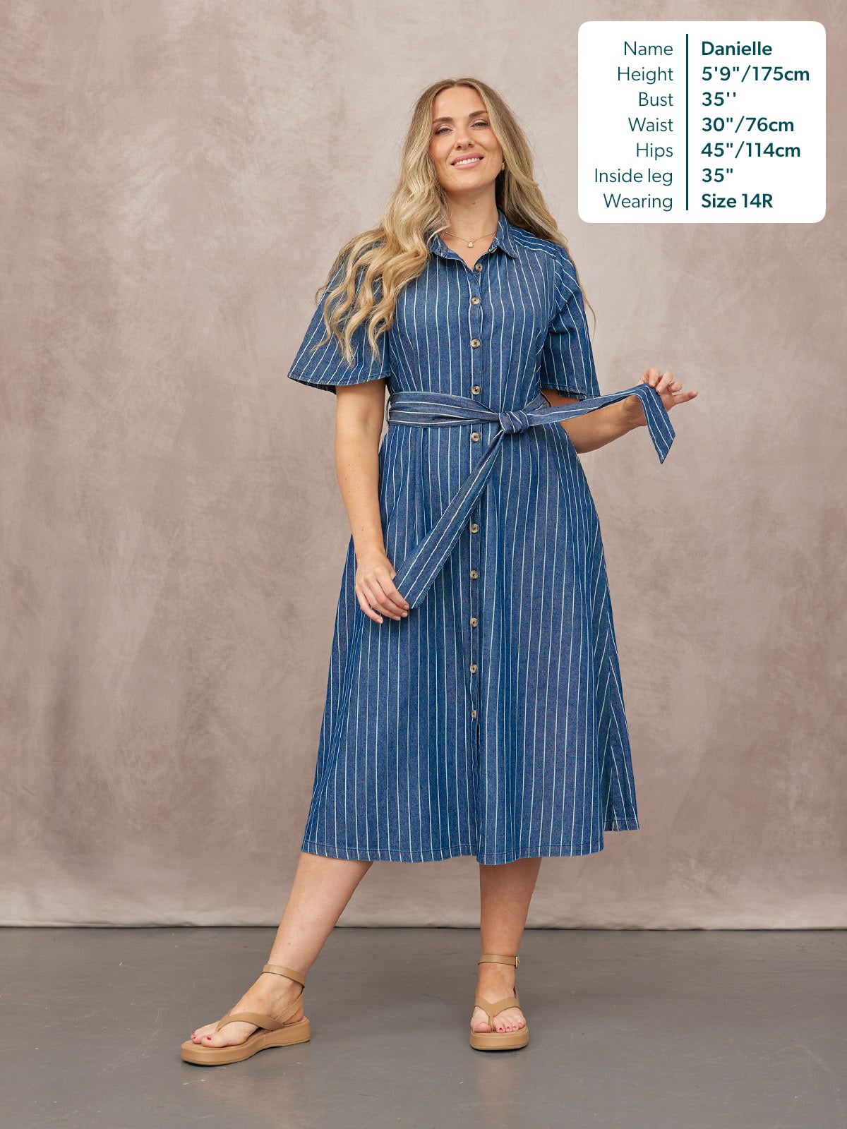 Mel Denim Shirt Dress - Denim Pinstripe