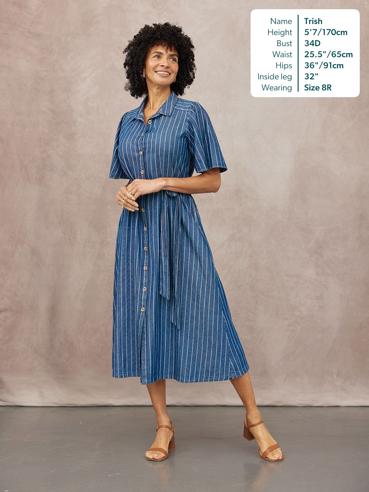 Mel Denim Shirt Dress - Denim Pinstripe